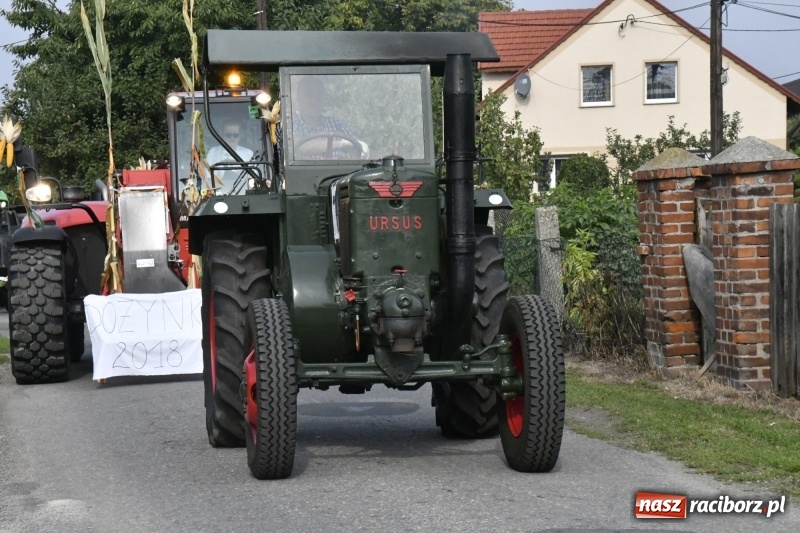 Zdjęcie w galerii na portalu naszraciborz.pl: Łęg gospodarzem dożynek w Zawadzie Książęcej FOTO i WIDEO wiadomości z regionu