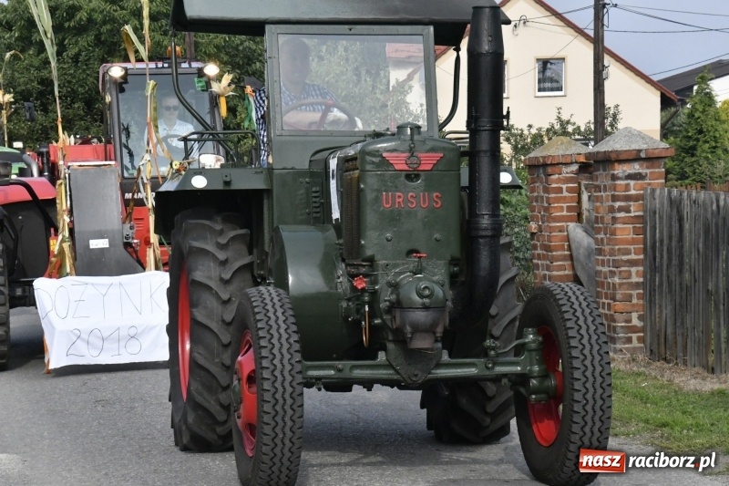 Zdjęcie w galerii na portalu naszraciborz.pl: Łęg gospodarzem dożynek w Zawadzie Książęcej FOTO i WIDEO wiadomości z regionu
