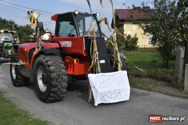 Zdjęcie w galerii na portalu naszraciborz.pl: Łęg gospodarzem dożynek w Zawadzie Książęcej FOTO i WIDEO wiadomości z regionu