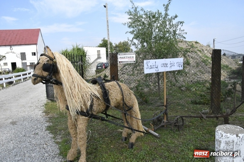 Zdjęcie w galerii na portalu naszraciborz.pl: Łęg gospodarzem dożynek w Zawadzie Książęcej FOTO i WIDEO wiadomości z regionu