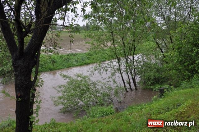 Zdjęcie w galerii na portalu naszraciborz.pl: W Krzyżanowicach bez paniki wiadomości z regionu