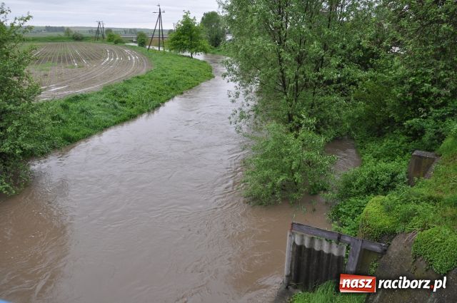 Zdjęcie w galerii na portalu naszraciborz.pl: W Krzyżanowicach bez paniki wiadomości z regionu