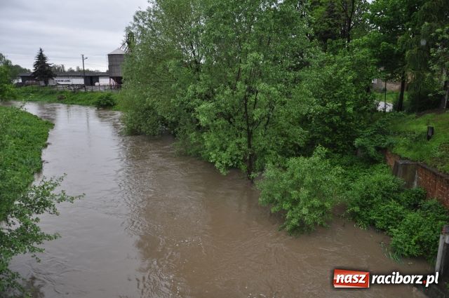 Zdjęcie w galerii na portalu naszraciborz.pl: W Krzyżanowicach bez paniki wiadomości z regionu