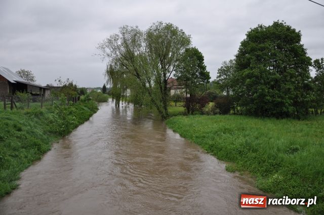 Zdjęcie w galerii na portalu naszraciborz.pl: W Krzyżanowicach bez paniki wiadomości z regionu