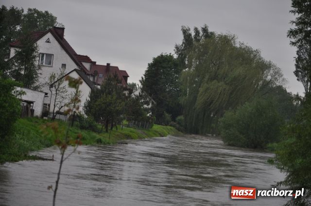 Zdjęcie w galerii na portalu naszraciborz.pl: W Krzyżanowicach bez paniki wiadomości z regionu