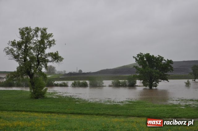 Zdjęcie w galerii na portalu naszraciborz.pl: W Krzyżanowicach bez paniki wiadomości z regionu