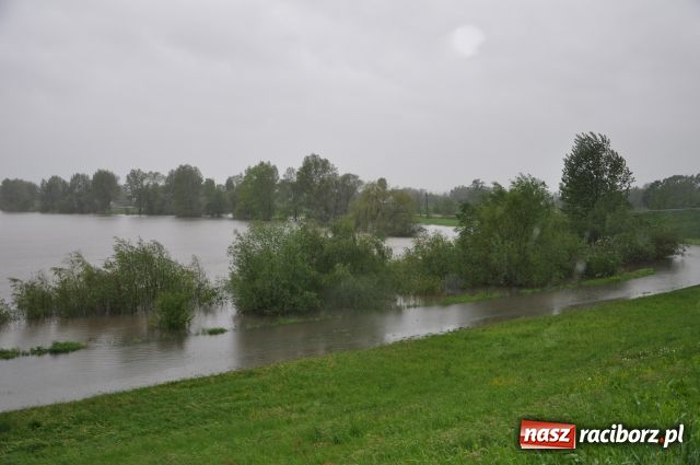 Zdjęcie w galerii na portalu naszraciborz.pl: W Krzyżanowicach bez paniki wiadomości z regionu