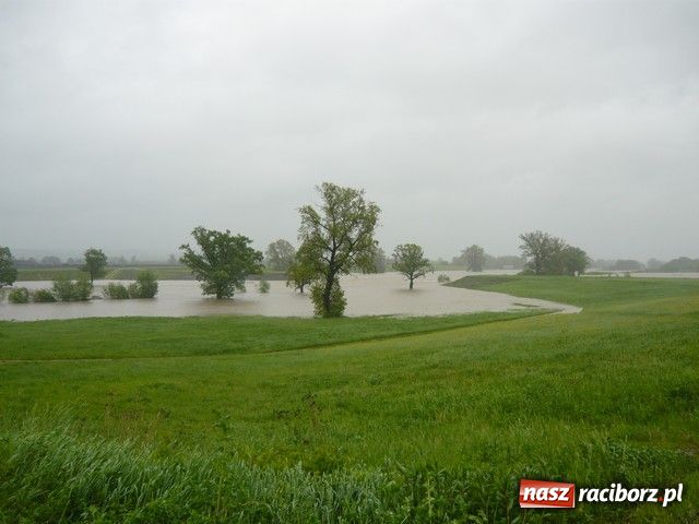 Zdjęcie w galerii na portalu naszraciborz.pl: W Krzyżanowicach bez paniki wiadomości z regionu