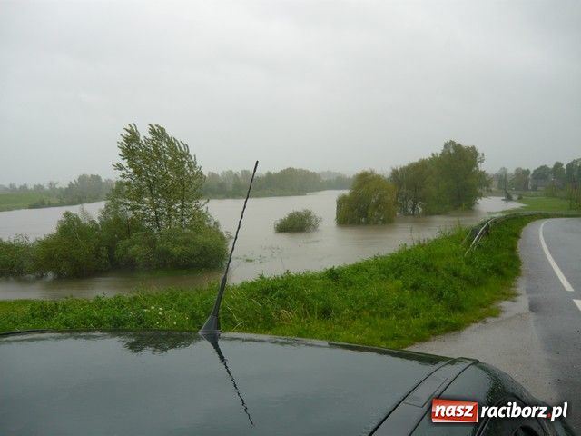 Zdjęcie w galerii na portalu naszraciborz.pl: W Krzyżanowicach bez paniki wiadomości z regionu