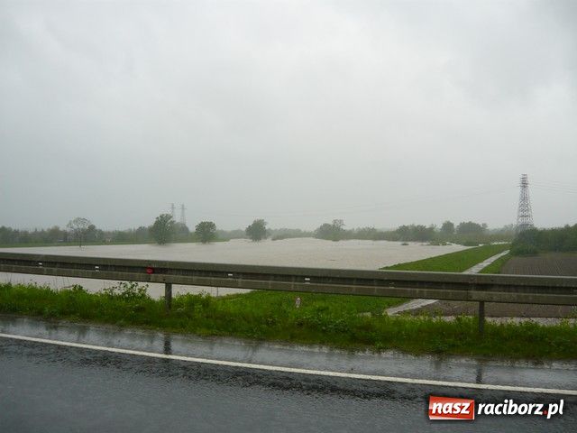 Zdjęcie w galerii na portalu naszraciborz.pl: W Krzyżanowicach bez paniki wiadomości z regionu