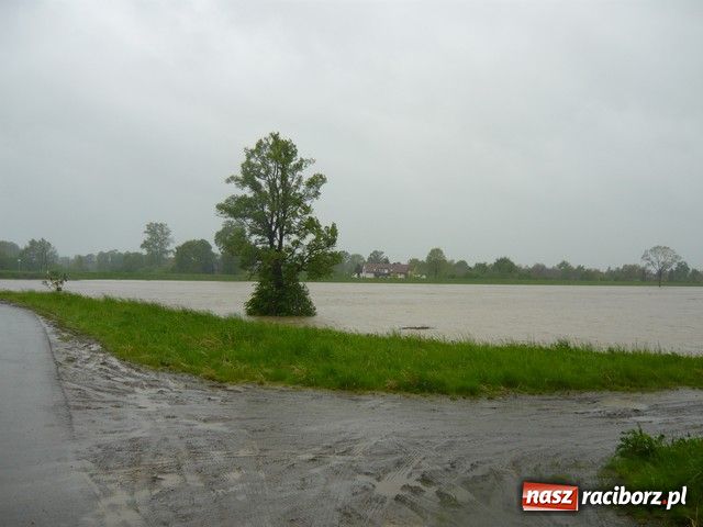 Zdjęcie w galerii na portalu naszraciborz.pl: W Krzyżanowicach bez paniki wiadomości z regionu