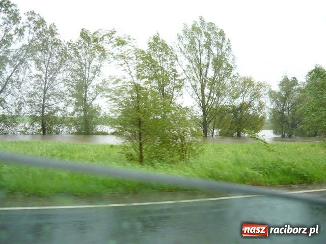 Zdjęcie w galerii na portalu naszraciborz.pl: W Krzyżanowicach bez paniki wiadomości z regionu