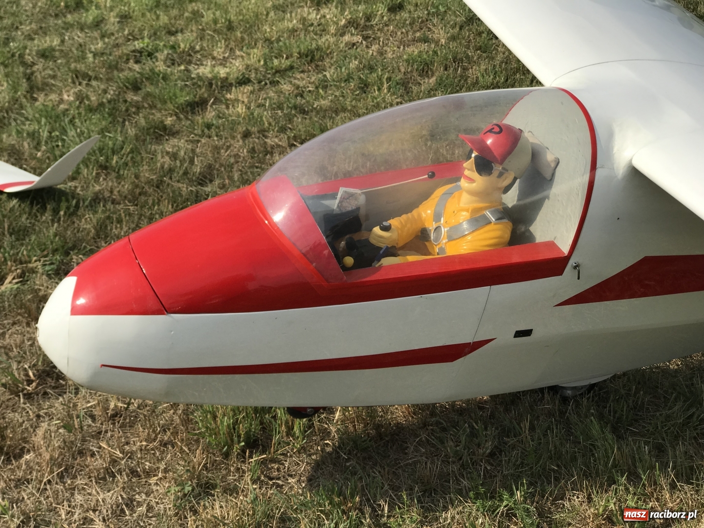 Zdjęcie w galerii na portalu naszraciborz.pl: Raciborskie Air Show pod Oborą - oglądaj na żywo wiadomości z regionu