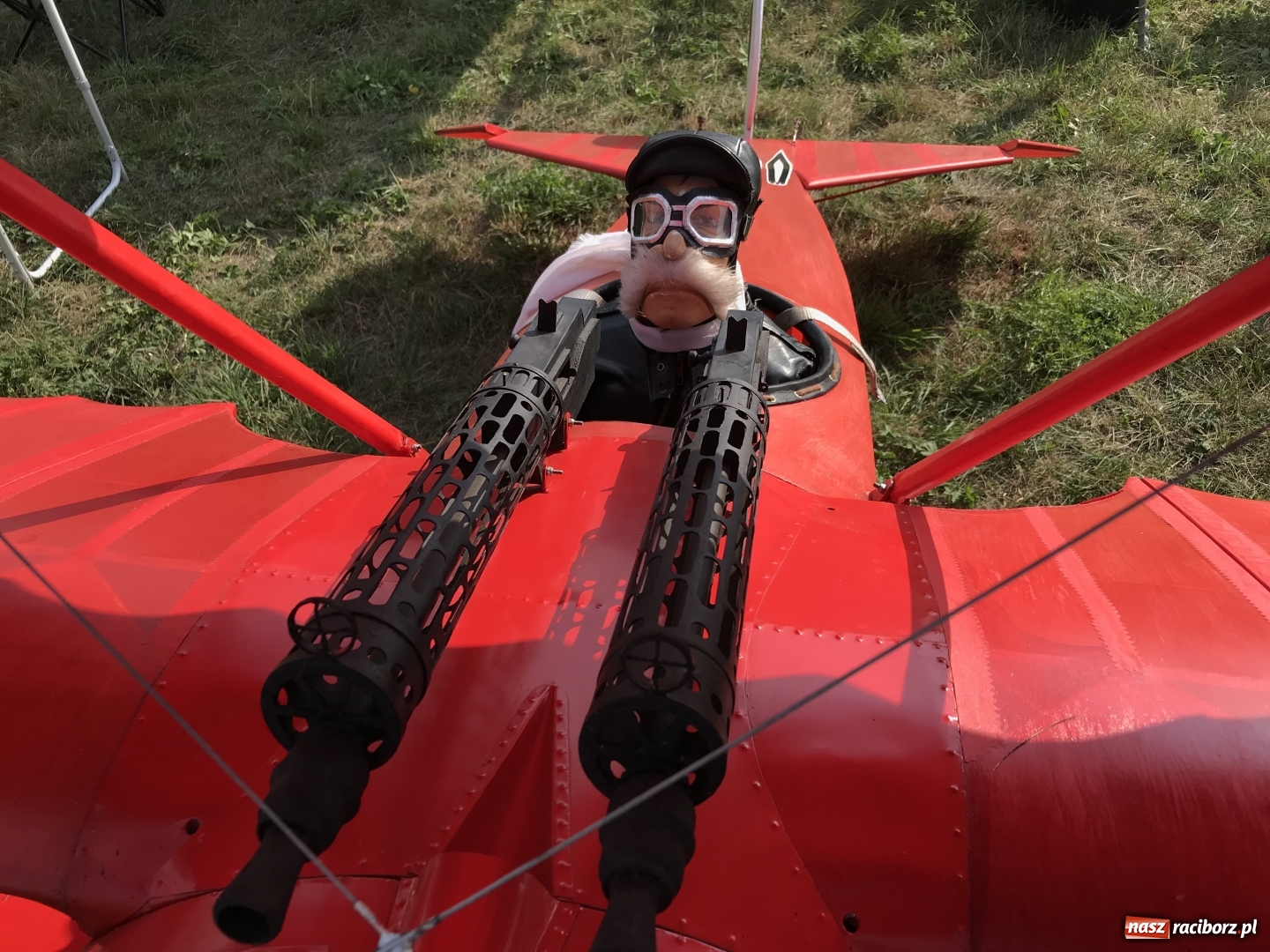 Zdjęcie w galerii na portalu naszraciborz.pl: Raciborskie Air Show pod Oborą - oglądaj na żywo wiadomości z regionu