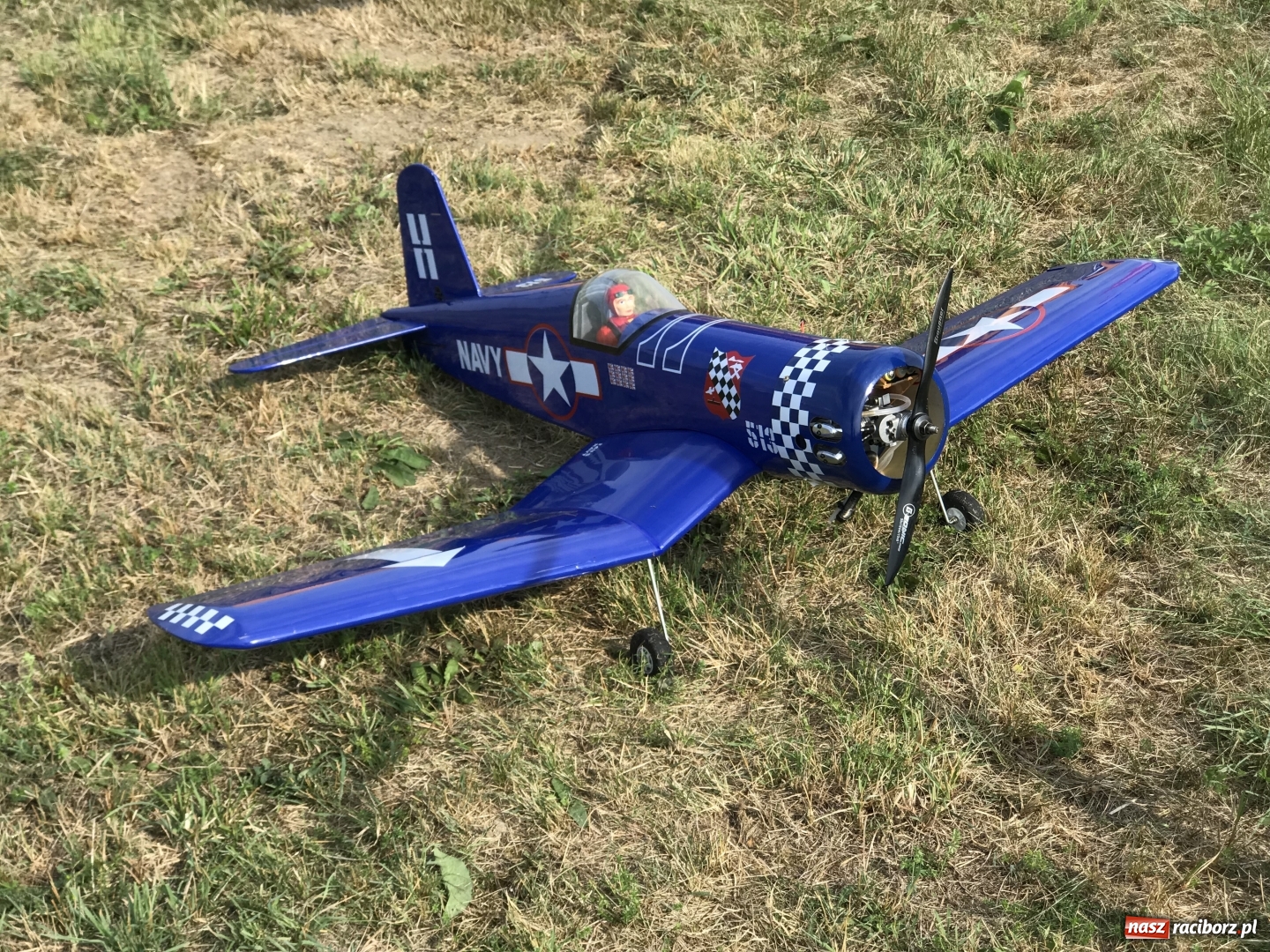 Zdjęcie w galerii na portalu naszraciborz.pl: Raciborskie Air Show pod Oborą - oglądaj na żywo wiadomości z regionu