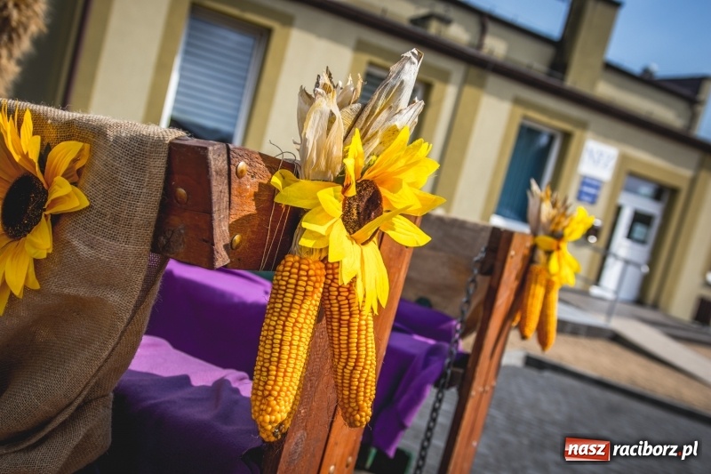 Zdjęcie w galerii na portalu naszraciborz.pl: Barwny korowód na dożynkach gminy Kornowac w Kobyli FOTO i WIDEO wiadomości z regionu