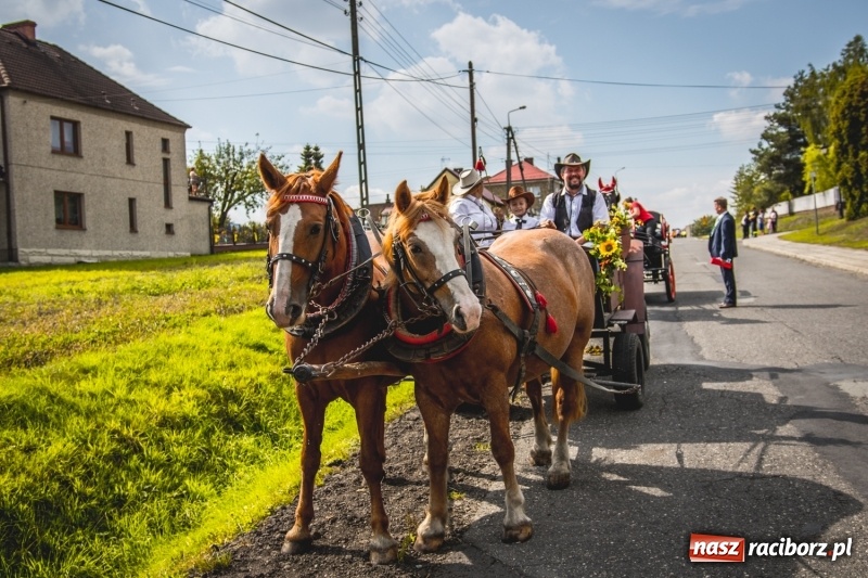 Zdjęcie w galerii na portalu naszraciborz.pl: Barwny korowód na dożynkach gminy Kornowac w Kobyli FOTO i WIDEO wiadomości z regionu