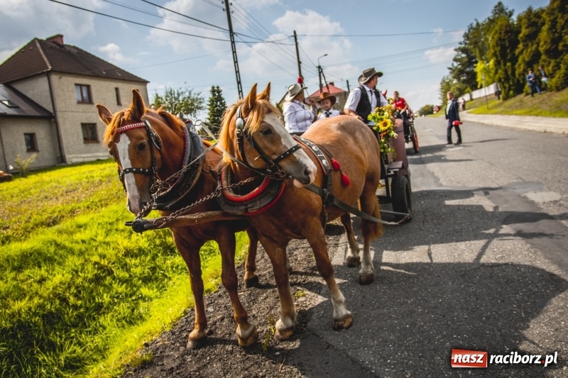 Zdjęcie w galerii na portalu naszraciborz.pl: Barwny korowód na dożynkach gminy Kornowac w Kobyli FOTO i WIDEO wiadomości z regionu
