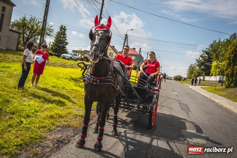 Zdjęcie w galerii na portalu naszraciborz.pl: Barwny korowód na dożynkach gminy Kornowac w Kobyli FOTO i WIDEO wiadomości z regionu