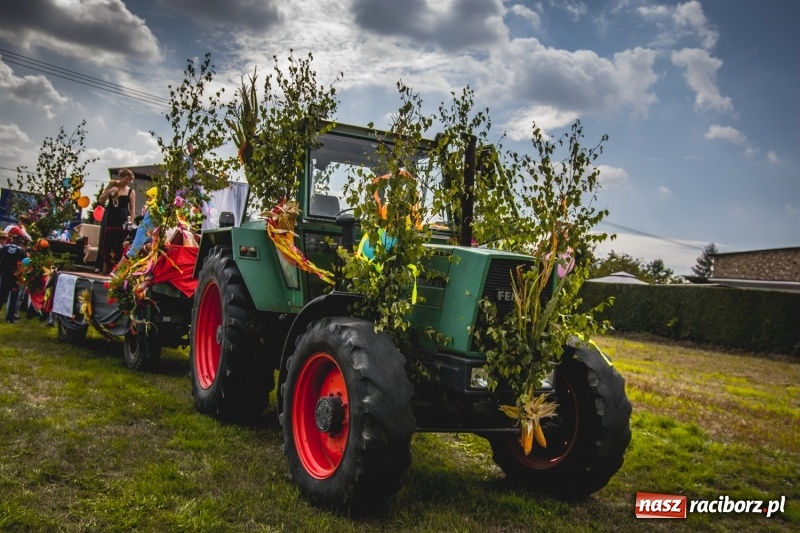 Zdjęcie w galerii na portalu naszraciborz.pl: Barwny korowód na dożynkach gminy Kornowac w Kobyli FOTO i WIDEO wiadomości z regionu