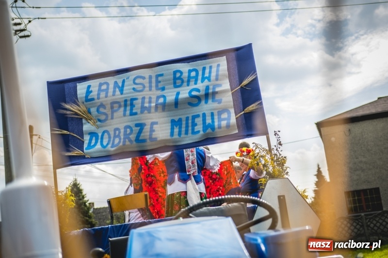 Zdjęcie w galerii na portalu naszraciborz.pl: Barwny korowód na dożynkach gminy Kornowac w Kobyli FOTO i WIDEO wiadomości z regionu