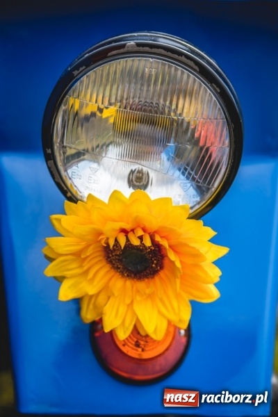 Zdjęcie w galerii na portalu naszraciborz.pl: Barwny korowód na dożynkach gminy Kornowac w Kobyli FOTO i WIDEO wiadomości z regionu