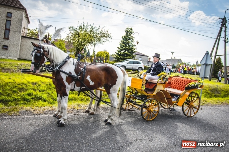 Zdjęcie w galerii na portalu naszraciborz.pl: Barwny korowód na dożynkach gminy Kornowac w Kobyli FOTO i WIDEO wiadomości z regionu
