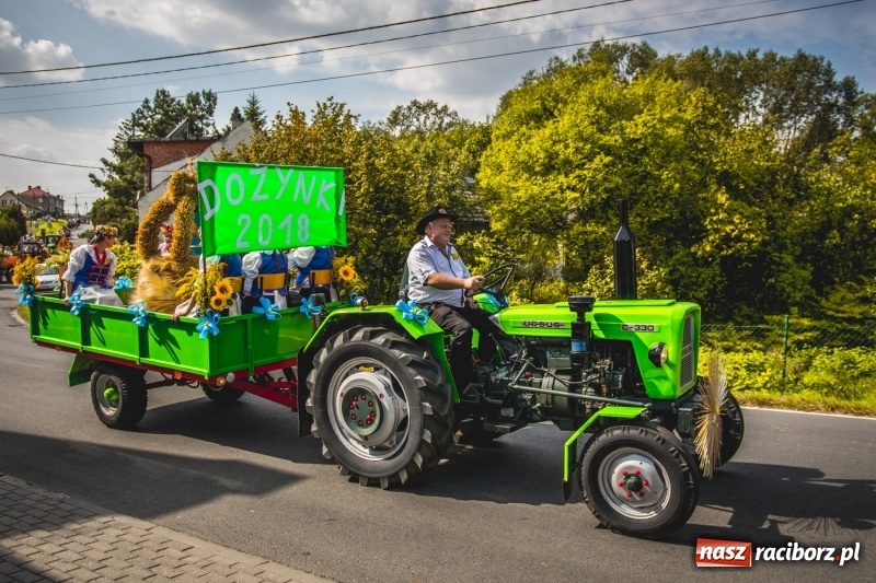 Zdjęcie w galerii na portalu naszraciborz.pl: Barwny korowód na dożynkach gminy Kornowac w Kobyli FOTO i WIDEO wiadomości z regionu