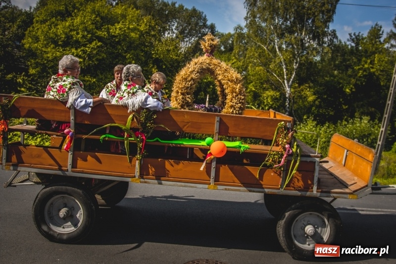 Zdjęcie w galerii na portalu naszraciborz.pl: Barwny korowód na dożynkach gminy Kornowac w Kobyli FOTO i WIDEO wiadomości z regionu