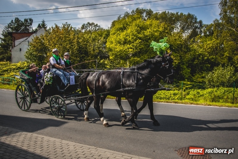 Zdjęcie w galerii na portalu naszraciborz.pl: Barwny korowód na dożynkach gminy Kornowac w Kobyli FOTO i WIDEO wiadomości z regionu