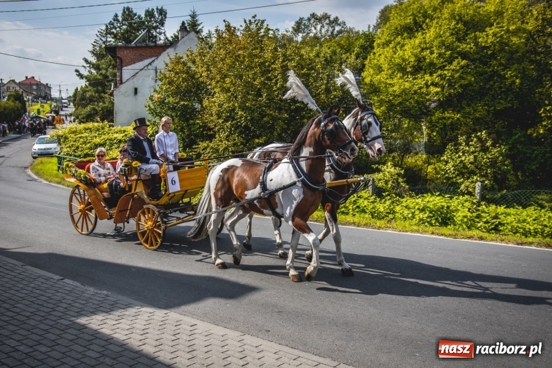 Zdjęcie w galerii na portalu naszraciborz.pl: Barwny korowód na dożynkach gminy Kornowac w Kobyli FOTO i WIDEO wiadomości z regionu