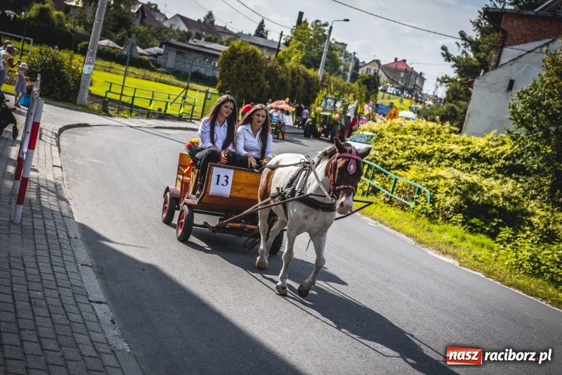 Zdjęcie w galerii na portalu naszraciborz.pl: Barwny korowód na dożynkach gminy Kornowac w Kobyli FOTO i WIDEO wiadomości z regionu
