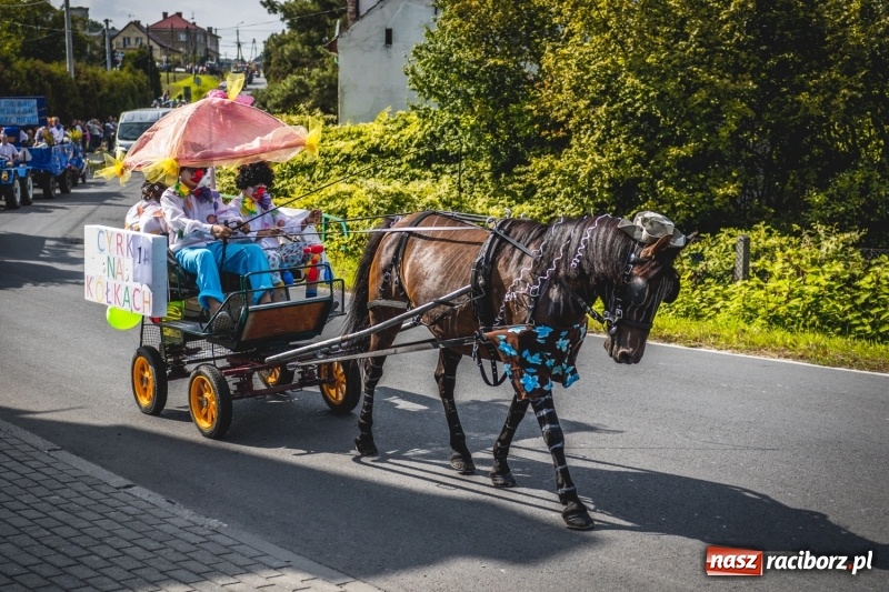 Zdjęcie w galerii na portalu naszraciborz.pl: Barwny korowód na dożynkach gminy Kornowac w Kobyli FOTO i WIDEO wiadomości z regionu