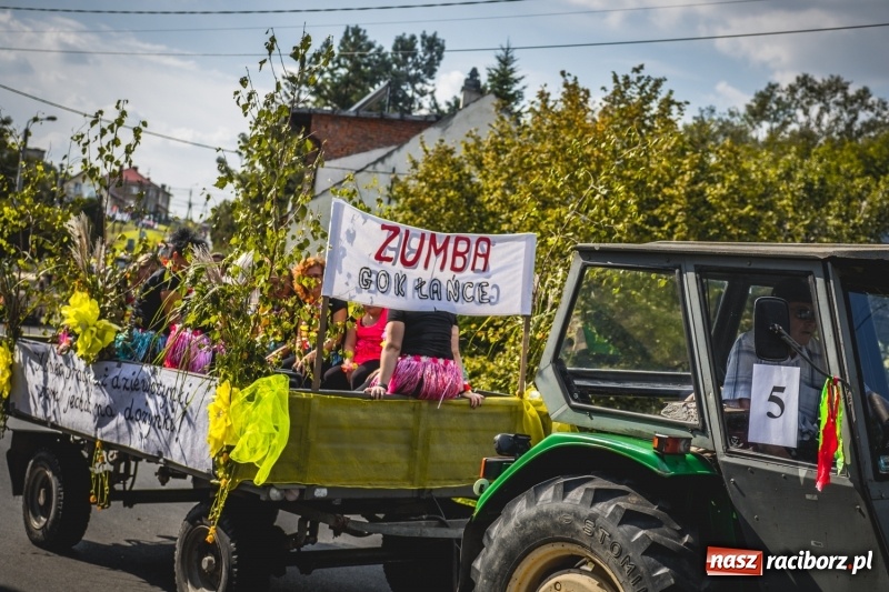 Zdjęcie w galerii na portalu naszraciborz.pl: Barwny korowód na dożynkach gminy Kornowac w Kobyli FOTO i WIDEO wiadomości z regionu