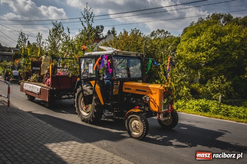 Zdjęcie w galerii na portalu naszraciborz.pl: Barwny korowód na dożynkach gminy Kornowac w Kobyli FOTO i WIDEO wiadomości z regionu