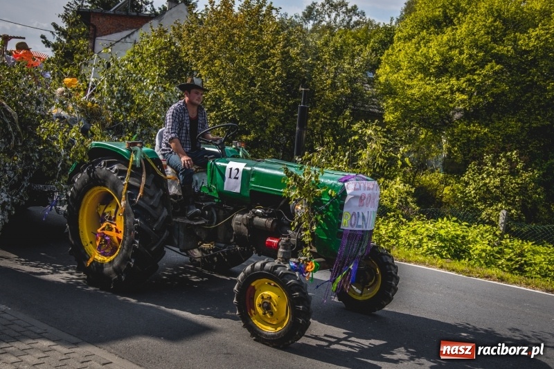 Zdjęcie w galerii na portalu naszraciborz.pl: Barwny korowód na dożynkach gminy Kornowac w Kobyli FOTO i WIDEO wiadomości z regionu
