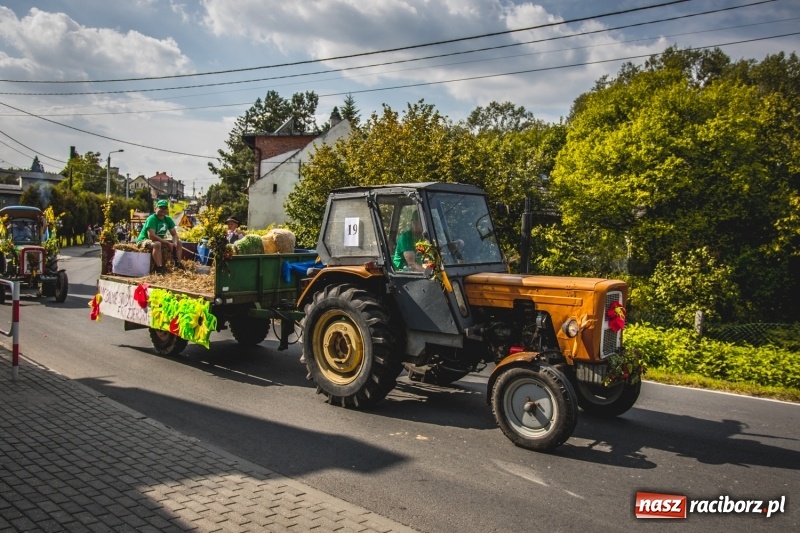 Zdjęcie w galerii na portalu naszraciborz.pl: Barwny korowód na dożynkach gminy Kornowac w Kobyli FOTO i WIDEO wiadomości z regionu