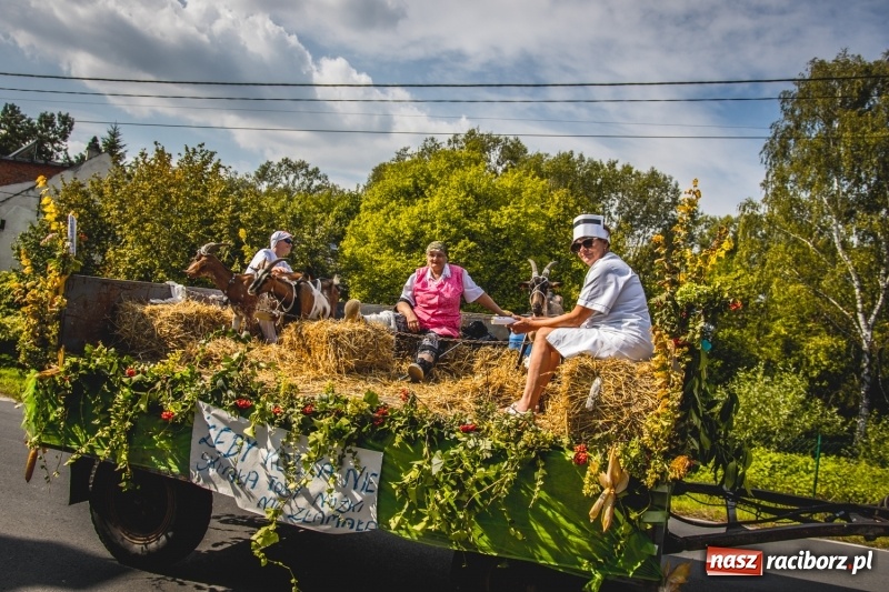 Zdjęcie w galerii na portalu naszraciborz.pl: Barwny korowód na dożynkach gminy Kornowac w Kobyli FOTO i WIDEO wiadomości z regionu
