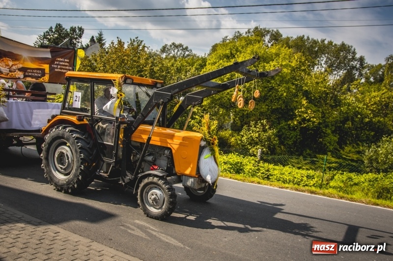 Zdjęcie w galerii na portalu naszraciborz.pl: Barwny korowód na dożynkach gminy Kornowac w Kobyli FOTO i WIDEO wiadomości z regionu