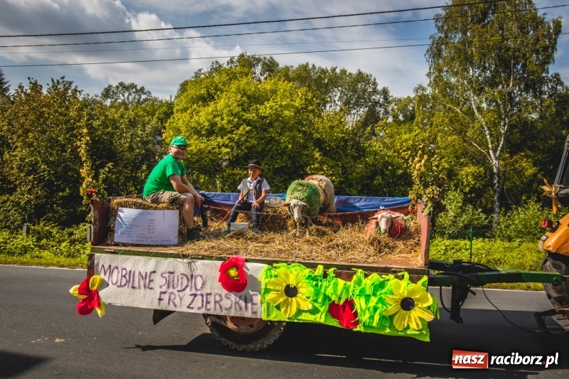 Zdjęcie w galerii na portalu naszraciborz.pl: Barwny korowód na dożynkach gminy Kornowac w Kobyli FOTO i WIDEO wiadomości z regionu