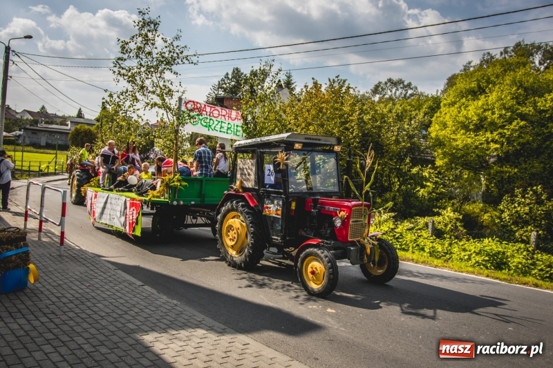 Zdjęcie w galerii na portalu naszraciborz.pl: Barwny korowód na dożynkach gminy Kornowac w Kobyli FOTO i WIDEO wiadomości z regionu
