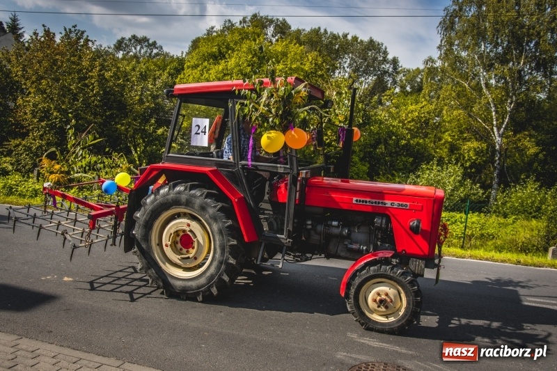 Zdjęcie w galerii na portalu naszraciborz.pl: Barwny korowód na dożynkach gminy Kornowac w Kobyli FOTO i WIDEO wiadomości z regionu