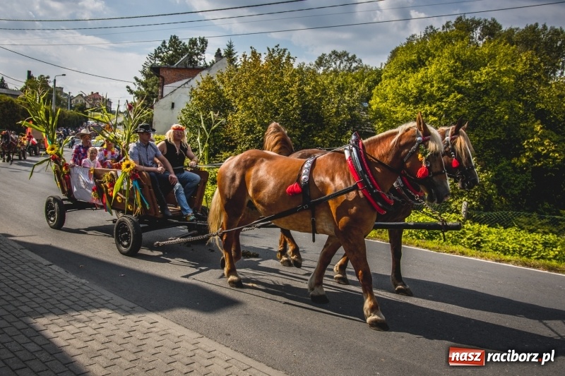 Zdjęcie w galerii na portalu naszraciborz.pl: Barwny korowód na dożynkach gminy Kornowac w Kobyli FOTO i WIDEO wiadomości z regionu