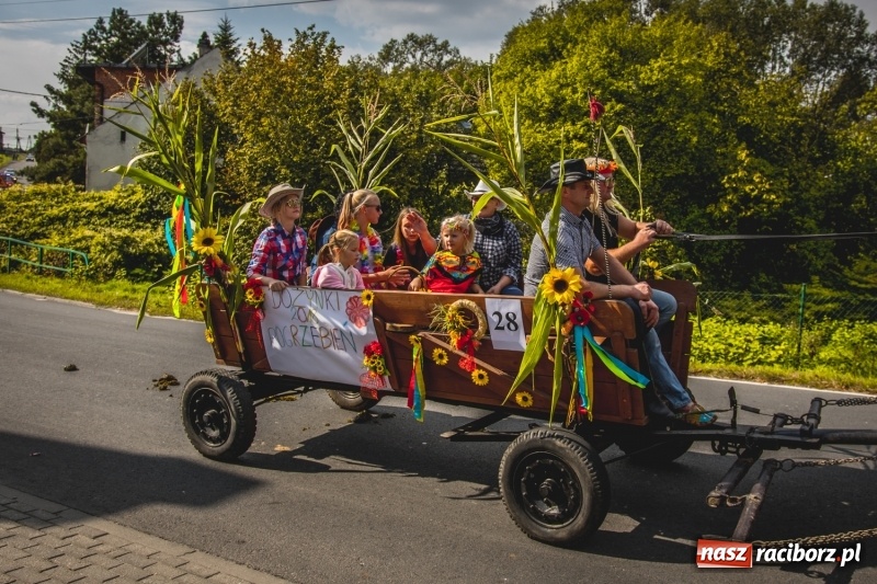Zdjęcie w galerii na portalu naszraciborz.pl: Barwny korowód na dożynkach gminy Kornowac w Kobyli FOTO i WIDEO wiadomości z regionu