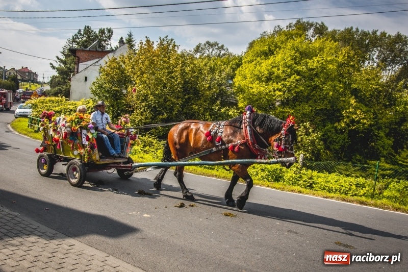 Zdjęcie w galerii na portalu naszraciborz.pl: Barwny korowód na dożynkach gminy Kornowac w Kobyli FOTO i WIDEO wiadomości z regionu