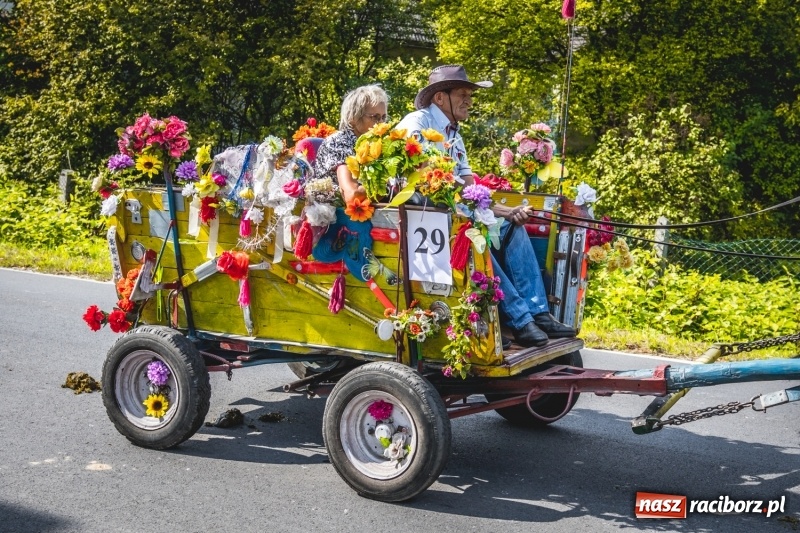Zdjęcie w galerii na portalu naszraciborz.pl: Barwny korowód na dożynkach gminy Kornowac w Kobyli FOTO i WIDEO wiadomości z regionu