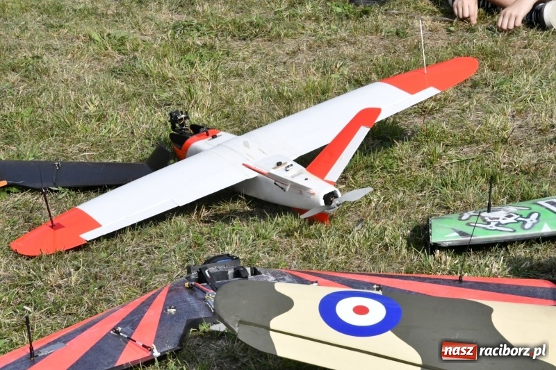 Zdjęcie w galerii na portalu naszraciborz.pl: XI Międzynarodowy Raciborski Piknik Modelarski zgomadził nad Ulgą tłumy. FOTO i WIDEO wiadomości z regionu