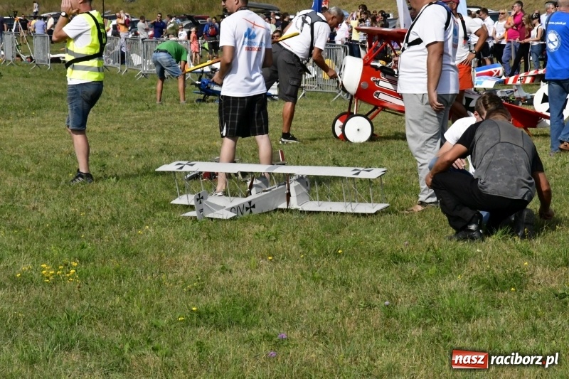 Zdjęcie w galerii na portalu naszraciborz.pl: XI Międzynarodowy Raciborski Piknik Modelarski zgomadził nad Ulgą tłumy. FOTO i WIDEO wiadomości z regionu