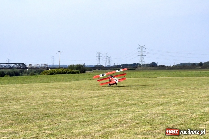 Zdjęcie w galerii na portalu naszraciborz.pl: XI Międzynarodowy Raciborski Piknik Modelarski zgomadził nad Ulgą tłumy. FOTO i WIDEO wiadomości z regionu