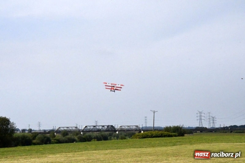 Zdjęcie w galerii na portalu naszraciborz.pl: XI Międzynarodowy Raciborski Piknik Modelarski zgomadził nad Ulgą tłumy. FOTO i WIDEO wiadomości z regionu